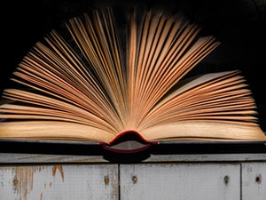 E-Newsletter Archives